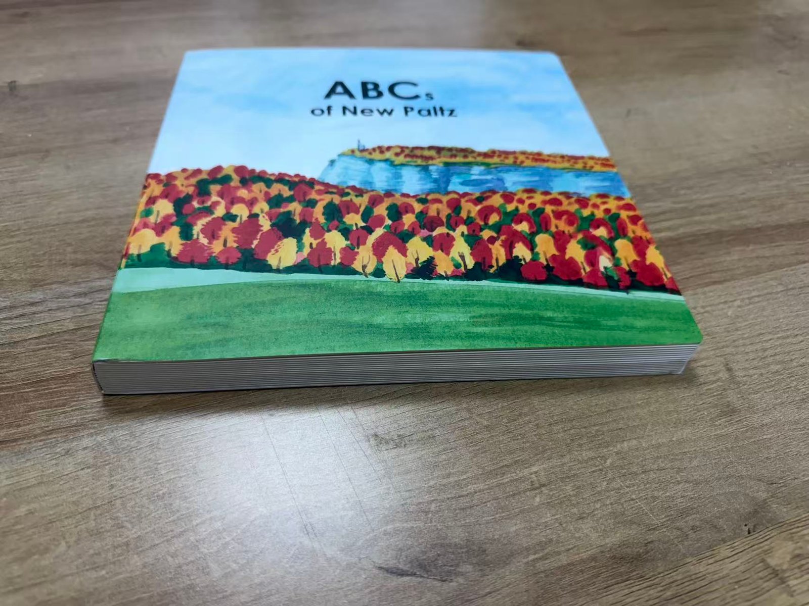 Front cover of the ABCs of New Paltz custom hardcover